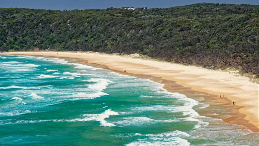 An aerial view of surf along a curving beach